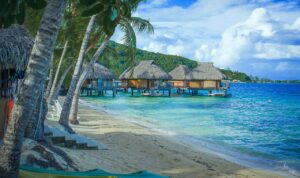 A Paradise for Holiday