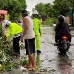 Hujan Deras Disertai Angin Kencang Mengguyur Wilayah Kabupaten Jeneponto, Menyebabkan Pohon Tumbang Dibeberapa Tempat