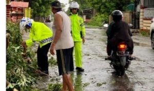 Hujan Deras Disertai Angin Kencang Mengguyur Wilayah Kabupaten Jeneponto, Menyebabkan Pohon Tumbang Dibeberapa Tempat