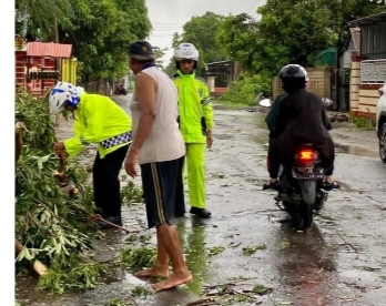 Hujan Deras Disertai Angin Kencang Mengguyur Wilayah Kabupaten Jeneponto, Menyebabkan Pohon Tumbang Dibeberapa Tempat