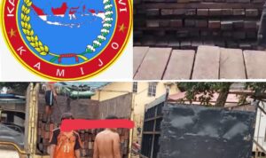 Viralnya Berita Soal Ilegal Logging Dan Permintaan Pengamat Tak di Gubris APH Hingga DPP KAMIJO Angkat Suara Minta Presiden Turun Tangan