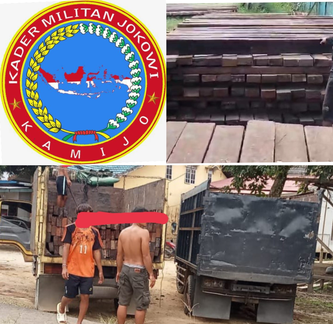 Viralnya Berita Soal Ilegal Logging Dan Permintaan Pengamat Tak di Gubris APH Hingga DPP KAMIJO Angkat Suara Minta Presiden Turun Tangan