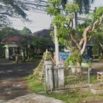 Kadis LH Lebak Soal Galian Tanah Mekarsari : Terimakasih Atas Informasinya, Kami Akan Infokan Kembali Pada Bidangnya
