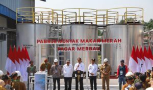 Pangdam I/BB Dampingi Presiden RI Resmikan Pabrik Minyak Makan Merah Pagar Merbau dan Kunker ke Daerah