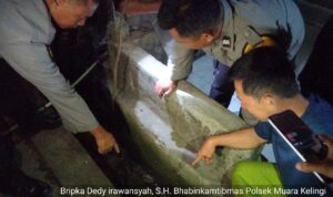 Tersangkut Jaring Ikan, Polsek Muara Kelingi Polres Musi Rawas Bersama Warga Evakuasi Buaya di Sungai Kerambil