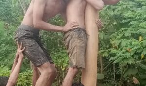 Keseruan Lomba Panjat Pinang Dalam Rangaka Sambut HUT RI Ke-79 di Kampung Cibulung