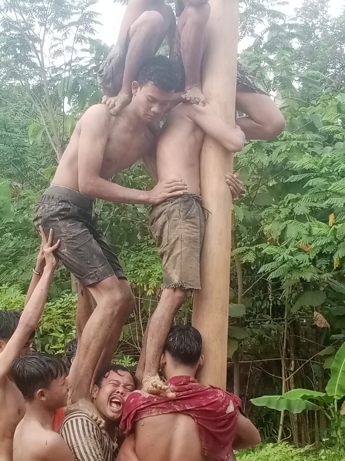 Keseruan Lomba Panjat Pinang Dalam Rangaka Sambut HUT RI Ke-79 di Kampung Cibulung