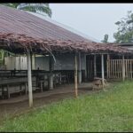 Joko diduga anggota TNI kesatuan Armed kelola judi sabung ayam yg dibackup anggota kodim sena Pangdam 1 bukit barisan diminta bertindak tegas