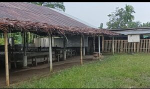 Joko diduga anggota TNI kesatuan Armed kelola judi sabung ayam yg dibackup anggota kodim sena Pangdam 1 bukit barisan diminta bertindak tegas
