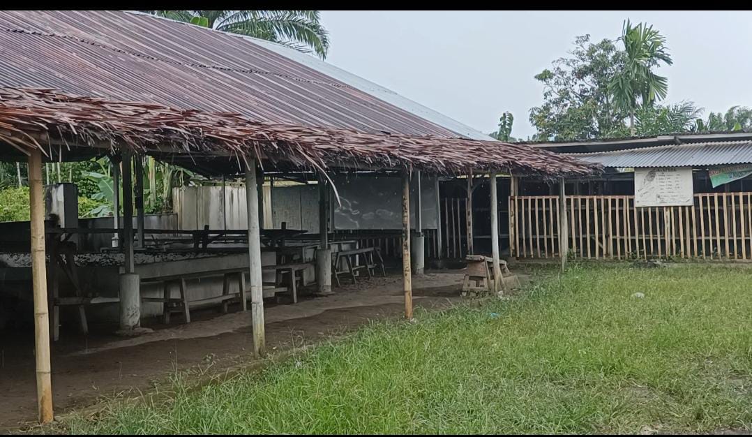 Joko diduga anggota TNI kesatuan Armed kelola judi sabung ayam yg dibackup anggota kodim sena Pangdam 1 bukit barisan diminta bertindak tegas