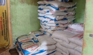 Harga pupuk bersubsidi selangit. Petani sumber rejo menjerit. Dinas pertanian kabupaten duduk manis dikantor.