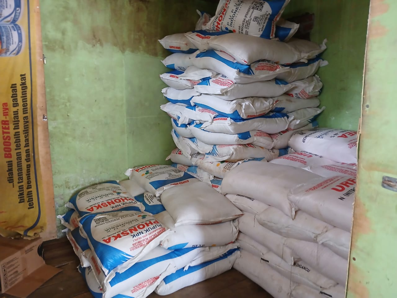 Harga pupuk bersubsidi selangit. Petani sumber rejo menjerit. Dinas pertanian Kabupaten duduk manis dikantor