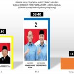 Survey Partai Pengusung Elektabilitas Rachmat Hidayat Dan Rustam Effendi 5340 Persen