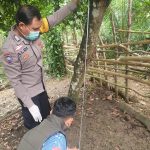 Sigap, Polsek Jayaloka Polres Musi Rawas Lakukan Identifikasi Jenazah Diduga Gantung Diri