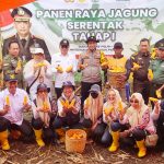 Dukung Swasembada Pangan, Kapolres Musi Rawas Bersama Stakeholders Gelar Panen Raya Jagung Serentak Tahap I di Desa Air Satan
