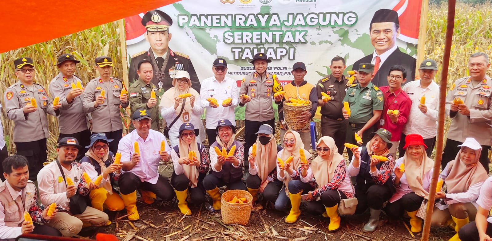 Dukung Swasembada Pangan, Kapolres Musi Rawas Bersama Stakeholders Gelar Panen Raya Jagung Serentak Tahap I di Desa Air Satan