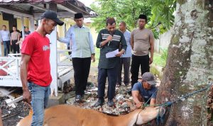 Berbagi di Hari Raya Idul Adha 1446 Hijriah, Polres Musi Rawas Kurban 20 Sapi dan 2 Kambing, Bagikan Ribuan Paket Daging Berbagi di Hari Raya Idul Adha 1446 Hijriah, Polres Musi Rawas Kurban 20 Sapi dan 2 Kambing, Bagikan Ribuan Paket Daging