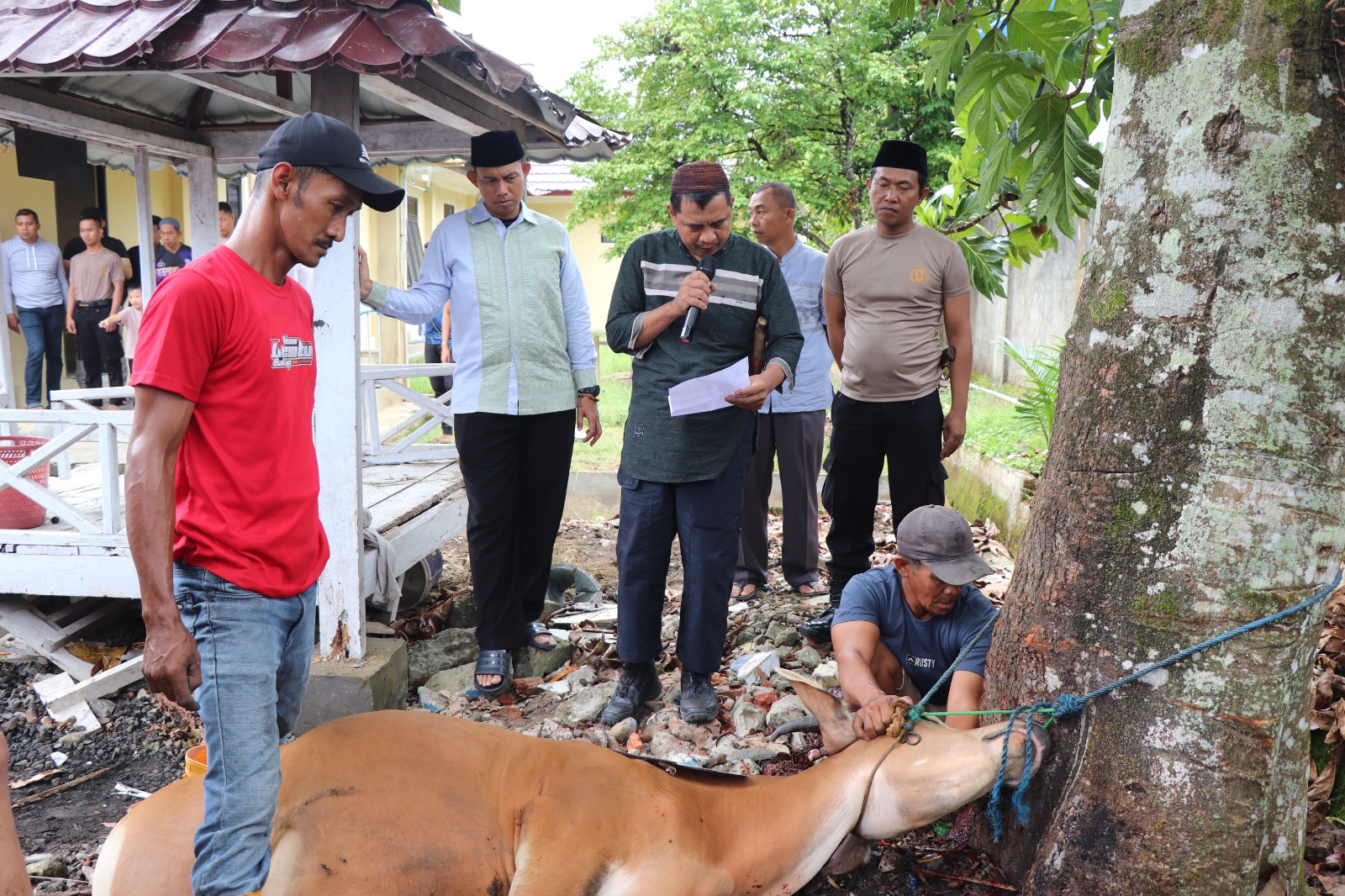 Berbagi di Hari Raya Idul Adha 1446 Hijriah, Polres Musi Rawas Kurban 20 Sapi dan 2 Kambing, Bagikan Ribuan Paket Daging