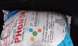 Penggilingan Padi Novi Diduga Jual Pupuk Subsidi Ilegal, Disuplai Kios Milik Anggota DPRD Lahat