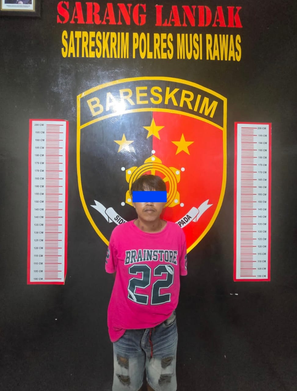 Satreskrim Polres Musi Rawas Ringkus Pelaku Rudapaksa Pelajar SMP Satreskrim Polres Musi Rawas Ringkus Pelaku Rudapaksa Pelajar SMP