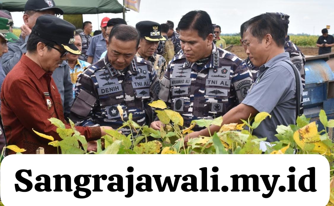 Lanal Lampung Dukung Kunjungan Kerja Kasal di Kimal Kotabumi Lampung Lanal Lampung Dukung Kunjungan Kerja Kasal di Kimal Kotabumi Lampung
