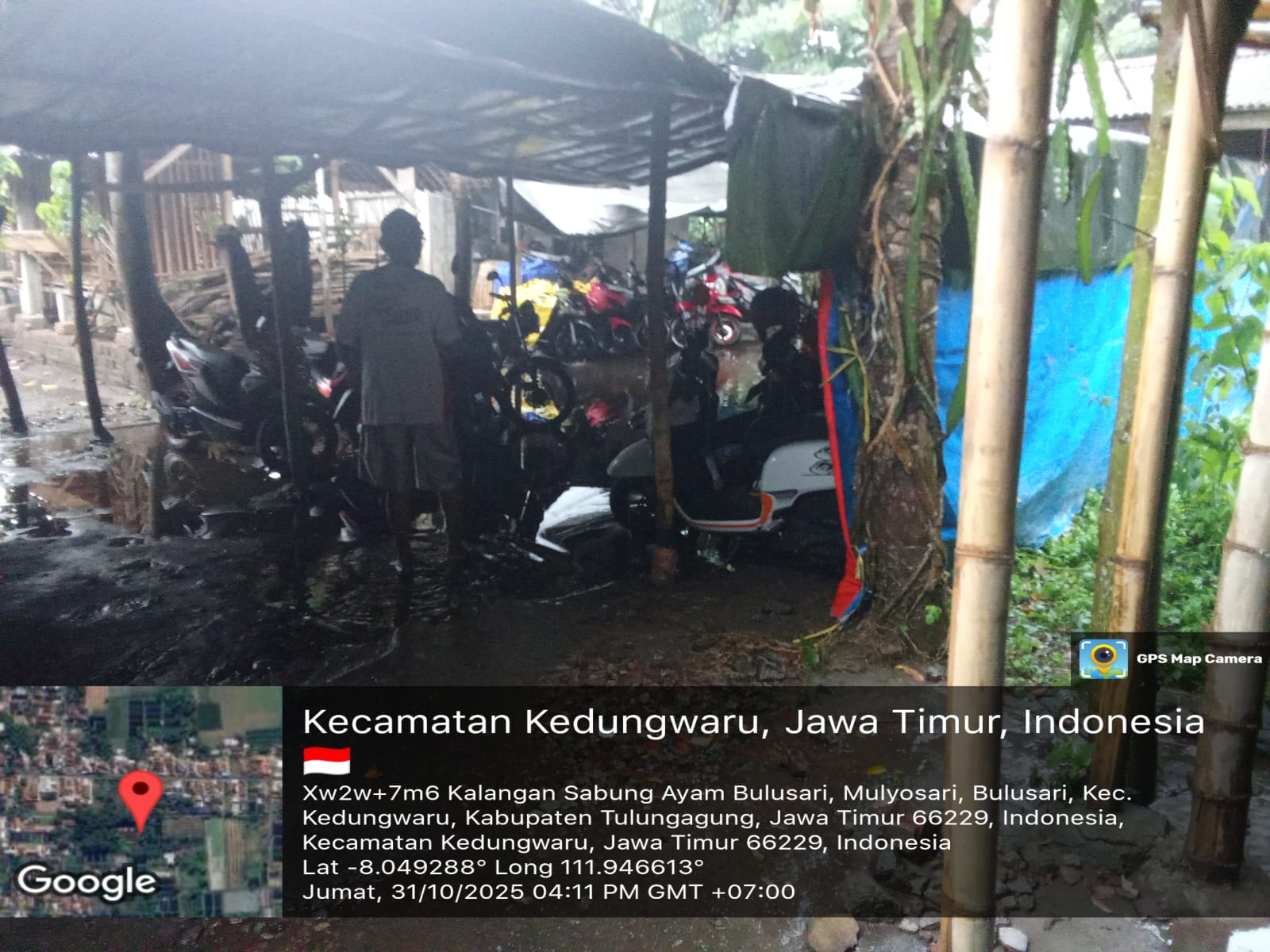 Investigasi Lapangan : Maraknya Aktivitas Sabung Ayam yang Diduga Diwarnai Perjudian di Bulusari Kabupaten Tulungagung 