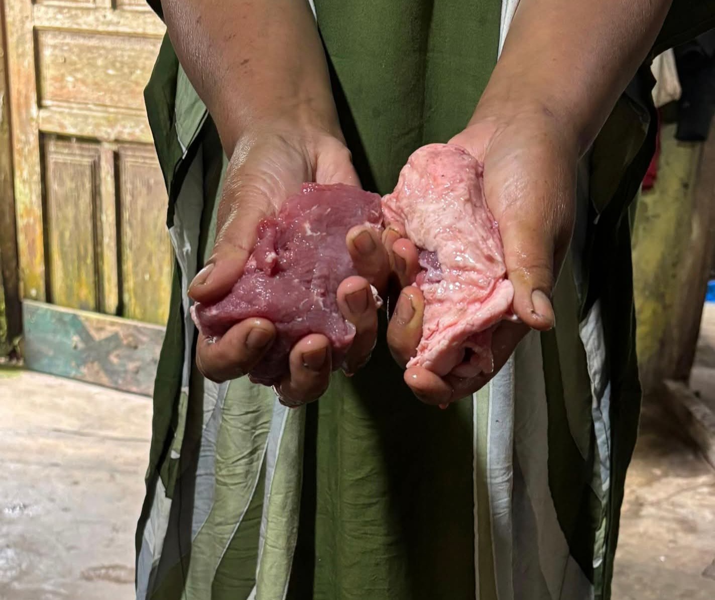 Terlalu Tega Pemerintah Daerah Bener Meriah? Penyaluran Daging Sapi Bantuan Presiden RI Hanya 1 Ons Per-KK Yang Di Terima Masyarakat,  Kepada Siapa Lagi Rakyat Mengadu??