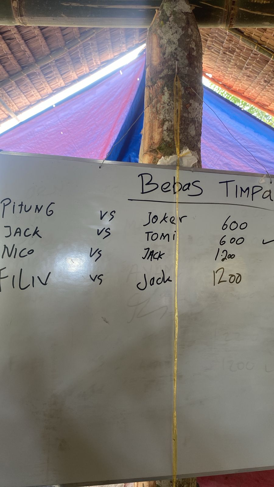 Sabung Ayam di Gudang Alam Jaya Kian Marak, Dugaan Setoran ke Oknum Polisi Mencuat