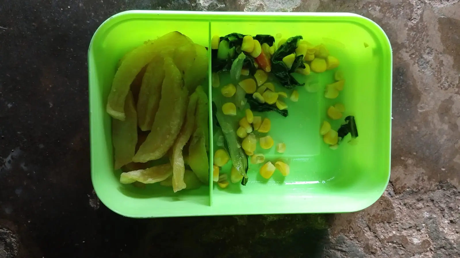 Skandal MBG di Desa Sumberjo Lampung Timur Dinilai Kurang Memenuhi SOP Layaknya Seperti Program Badan Gizi Nasional