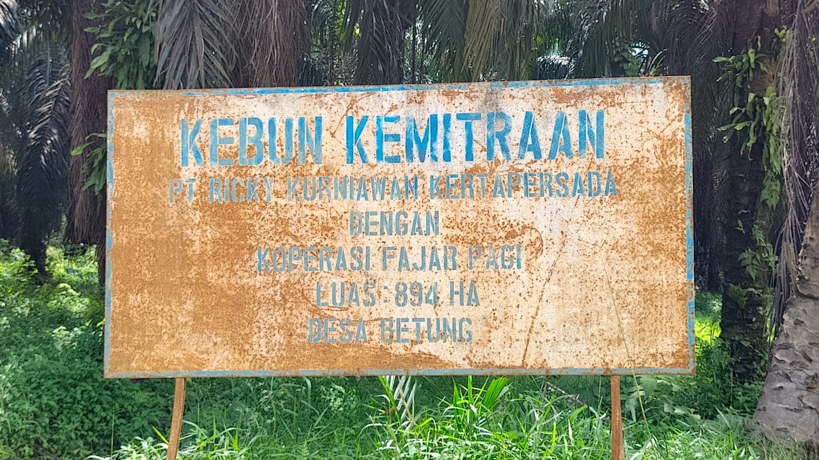 Dalih “Kawasan Hutan” Dipertanyakan, Panen Tanpa Izin Berlanjut: AWNI Jambi Desak Kepastian Hukum Kasus Koperasi Fajar Pagi