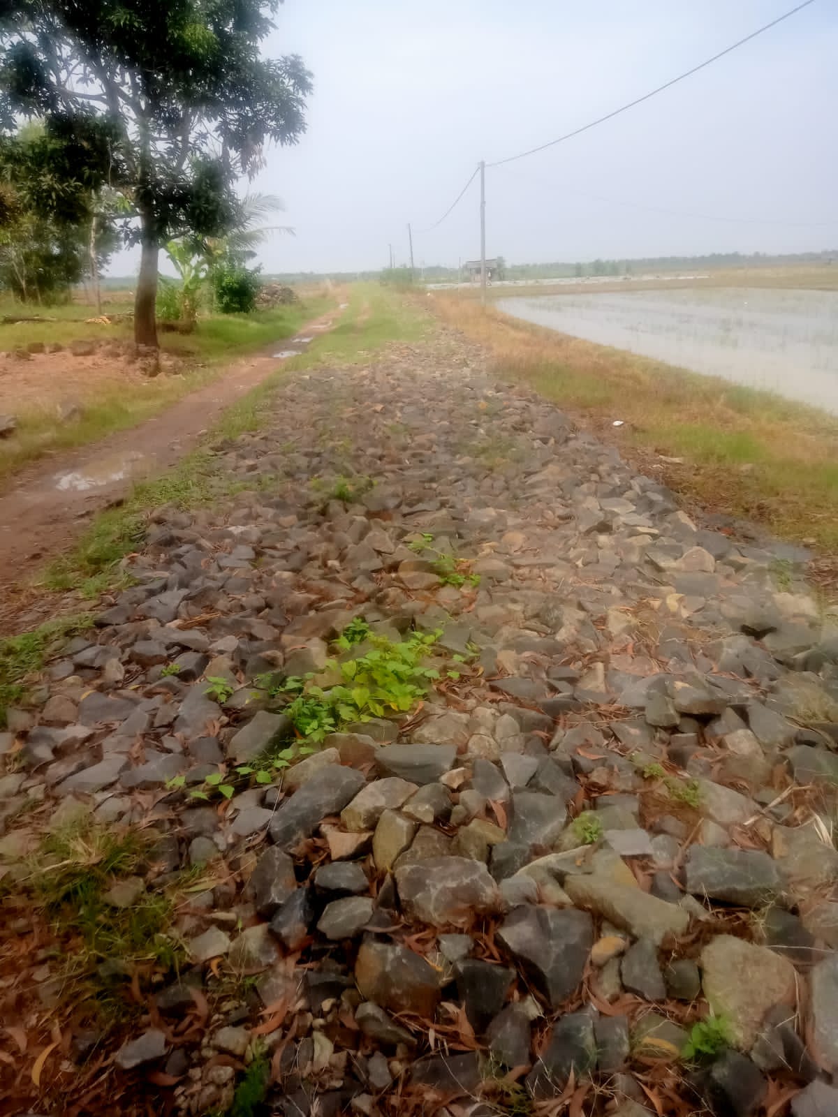 belum diselsaikannya proyek jalan Onderlagh yang dibagun menggunakan Dana Desa tahun 2024 – 2025 di Desa Marga Batin, Kecamatan Waway Karya. belum diselsaikannya proyek jalan Onderlagh yang dibagun menggunakan Dana Desa tahun 2024 – 2025 di Desa Marga Batin, Kecamatan Waway Karya.